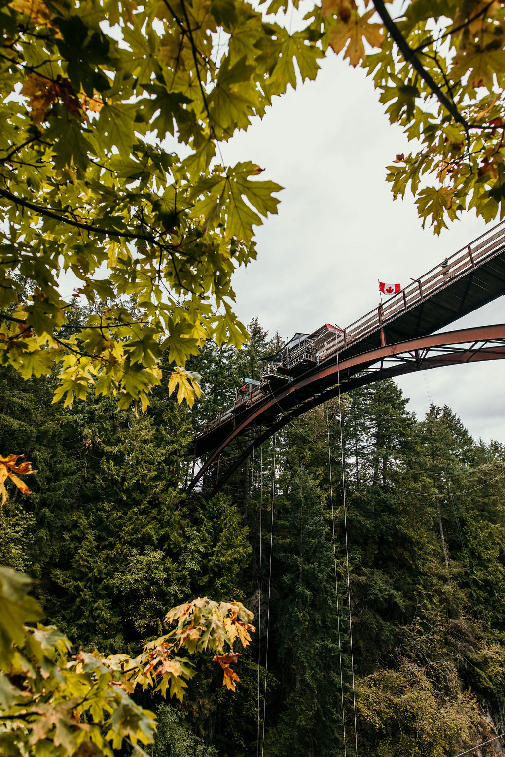 Bungy Jump Voucher