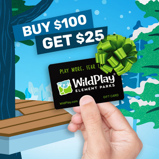 Gift Card: $100 + $25 Bonus credit